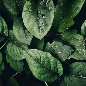 Meet your Posher, Beni